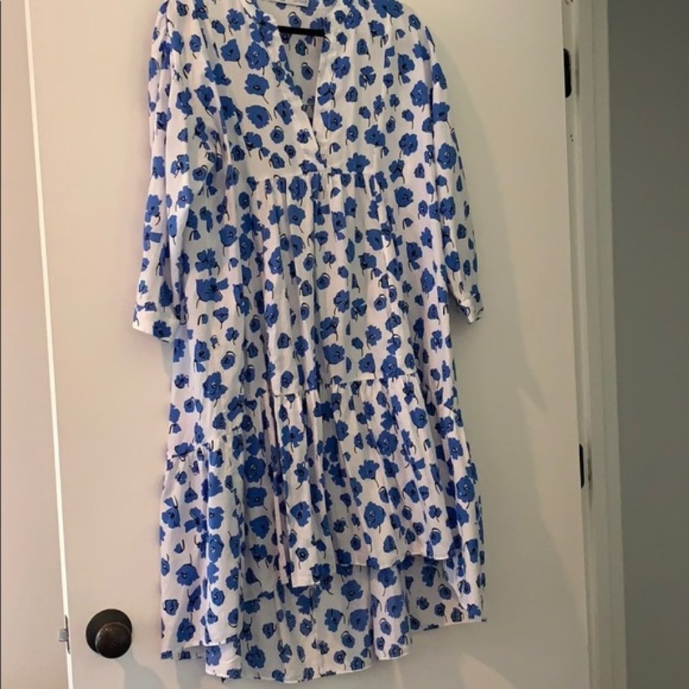 Zara blue & white poppy print dress
